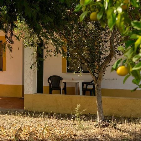 Markadia Odivelas (Ferreira do Alentejo) Exterior photo